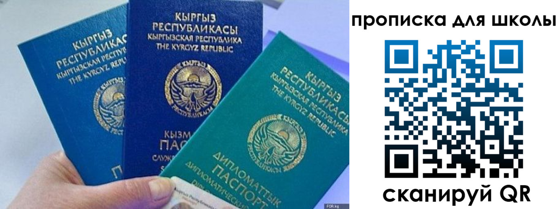 прописка регистрация в Клинцах